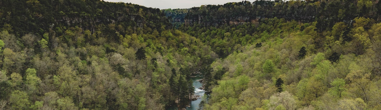 River running through the country side in alabama