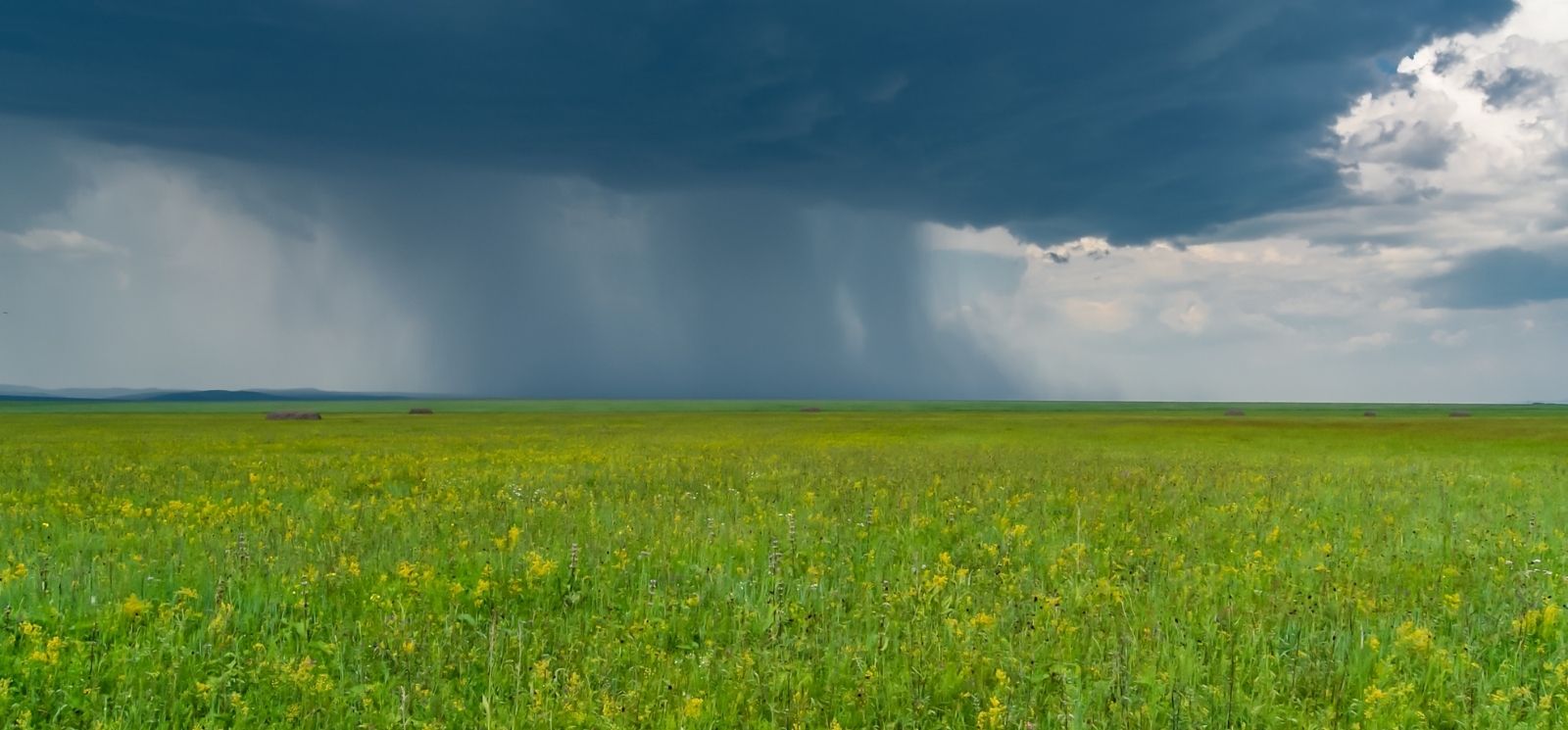 Rain storm in a field