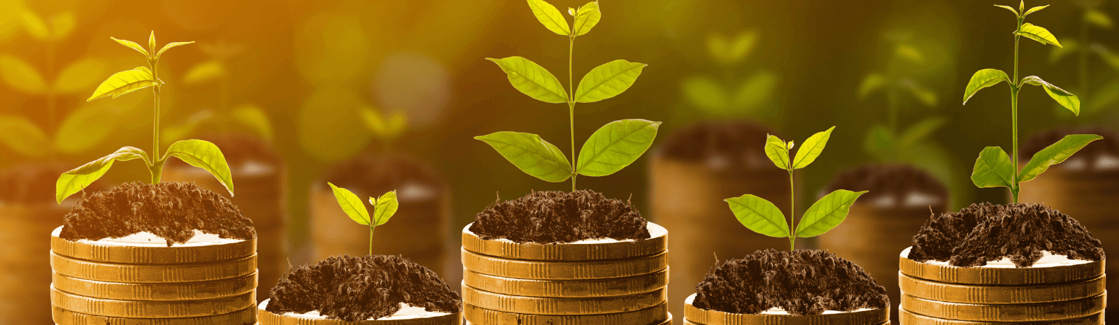 Plants growing on top of coins