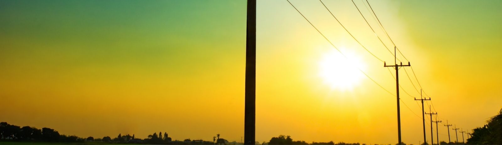 Powerlines on a sunny day